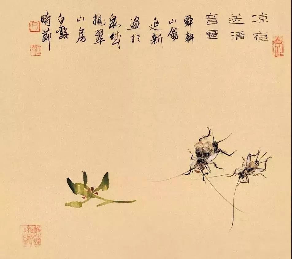 齐白石水墨小品欣赏,齐白石虫草长卷