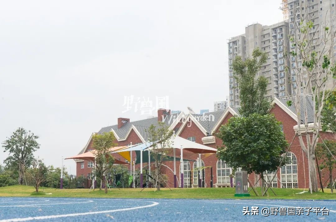 一年20万学费的清澜山学校,都在学些什么?