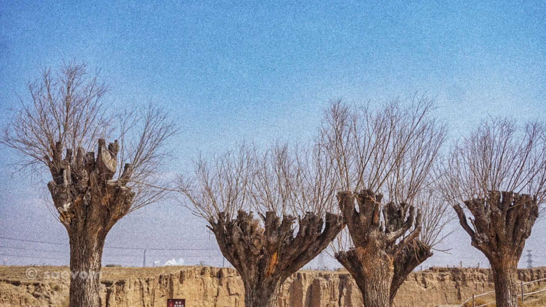 宁夏腾格里沙漠游玩攻略,宁夏沙漠旅行攻略