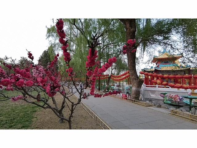 抖音专用云台摄像机,抖音专用防抖便携式的视频摄像机