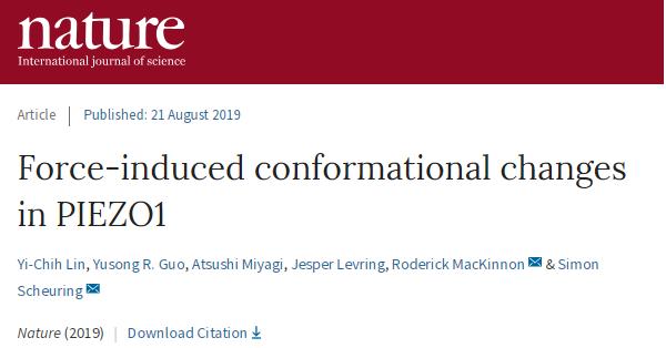 冷冻电镜最新研究,冷冻电镜研究成果涌现