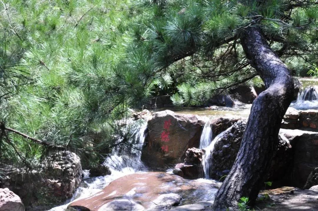 鲁山水上乐园闯关比赛,山叶口玩水