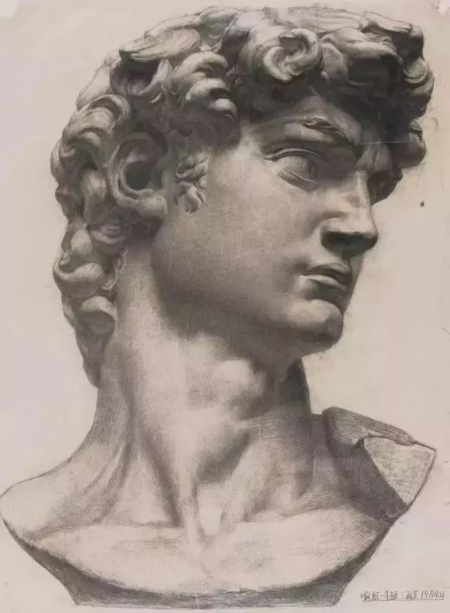 画素描不画脸,画素描总是画不深入