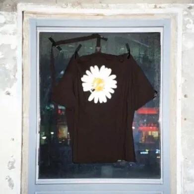 最近很火的小雏菊图片,最火的小雏菊系列