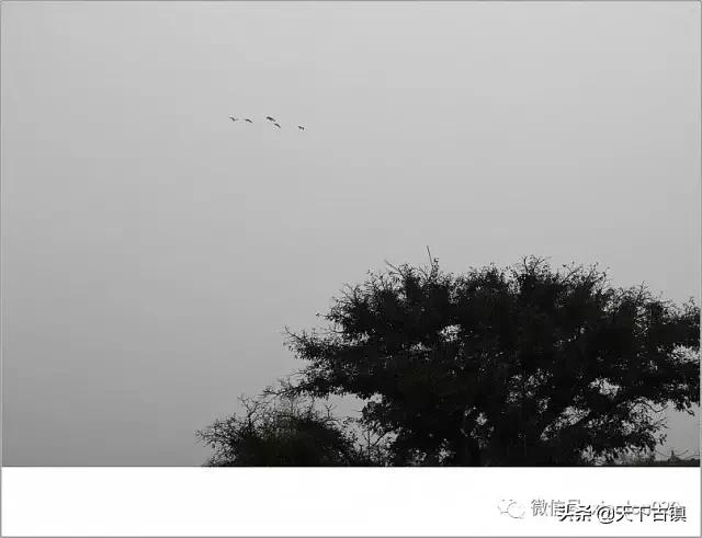 四川邛崃平乐古镇的介绍,四川邛崃平乐古镇