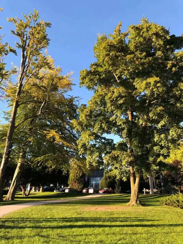 巴尔干半岛和阿尔巴尼亚,伯罗奔尼撒半岛和巴尔干半岛