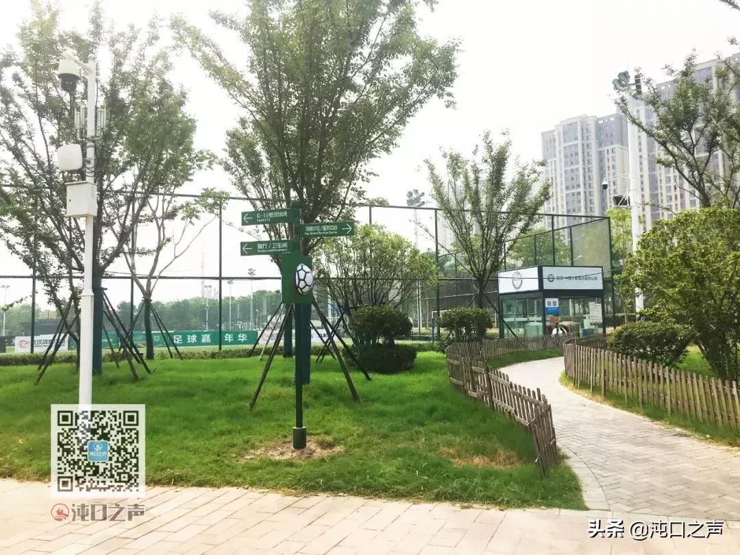 武汉卓尔足球公园,武汉王家墩足球公园