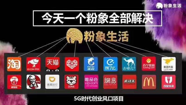 粉象生活三代模式是什么,粉象生活和好省哪个模式更好