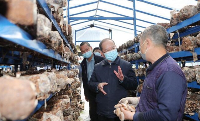 广西禾美农业有限公司,广西禾美生态农业