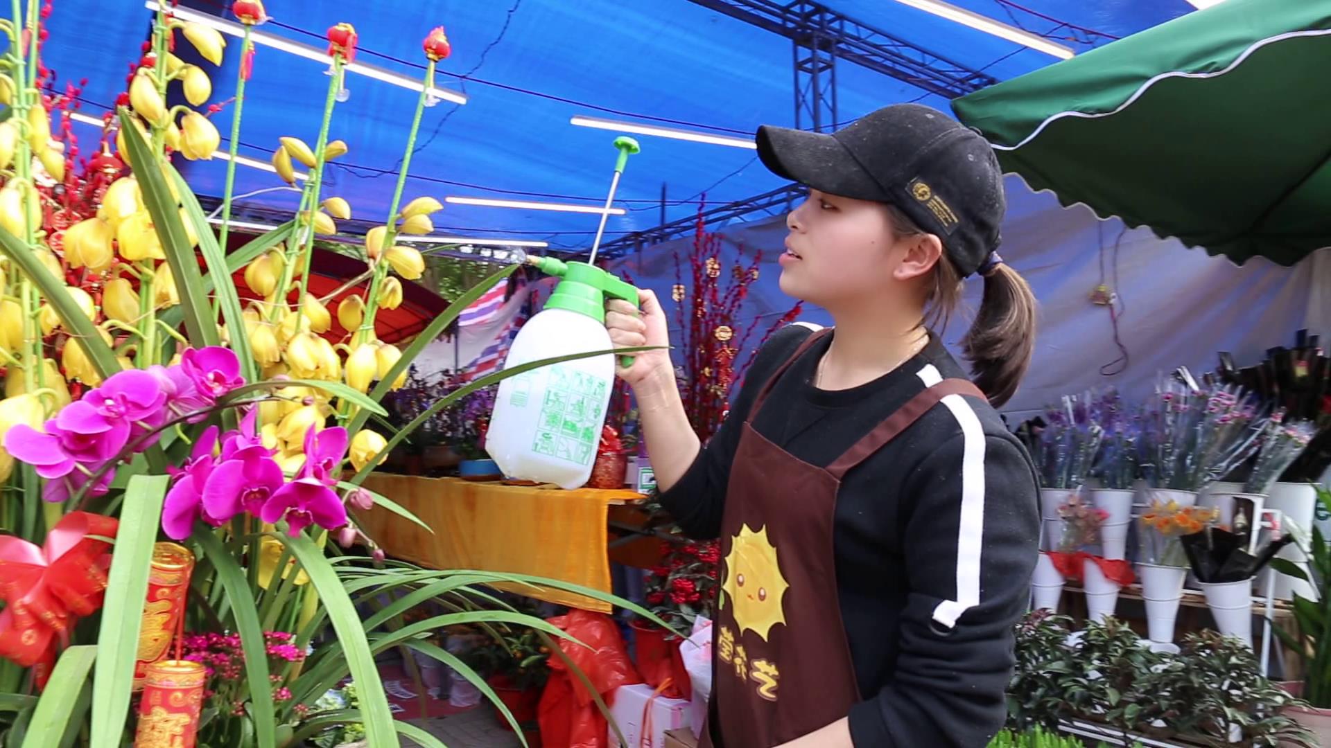 2021年粤语贺年歌曲视频,贺年歌粤语贺岁歌曲mv