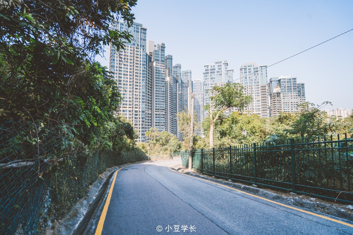 澳门旅游攻略免费吃喝,去澳门哪里有免费吃喝