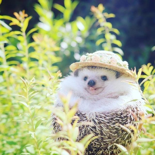 精辟到噎死人的毒鸡汤,搞笑噎人的霸气心灵鸡汤