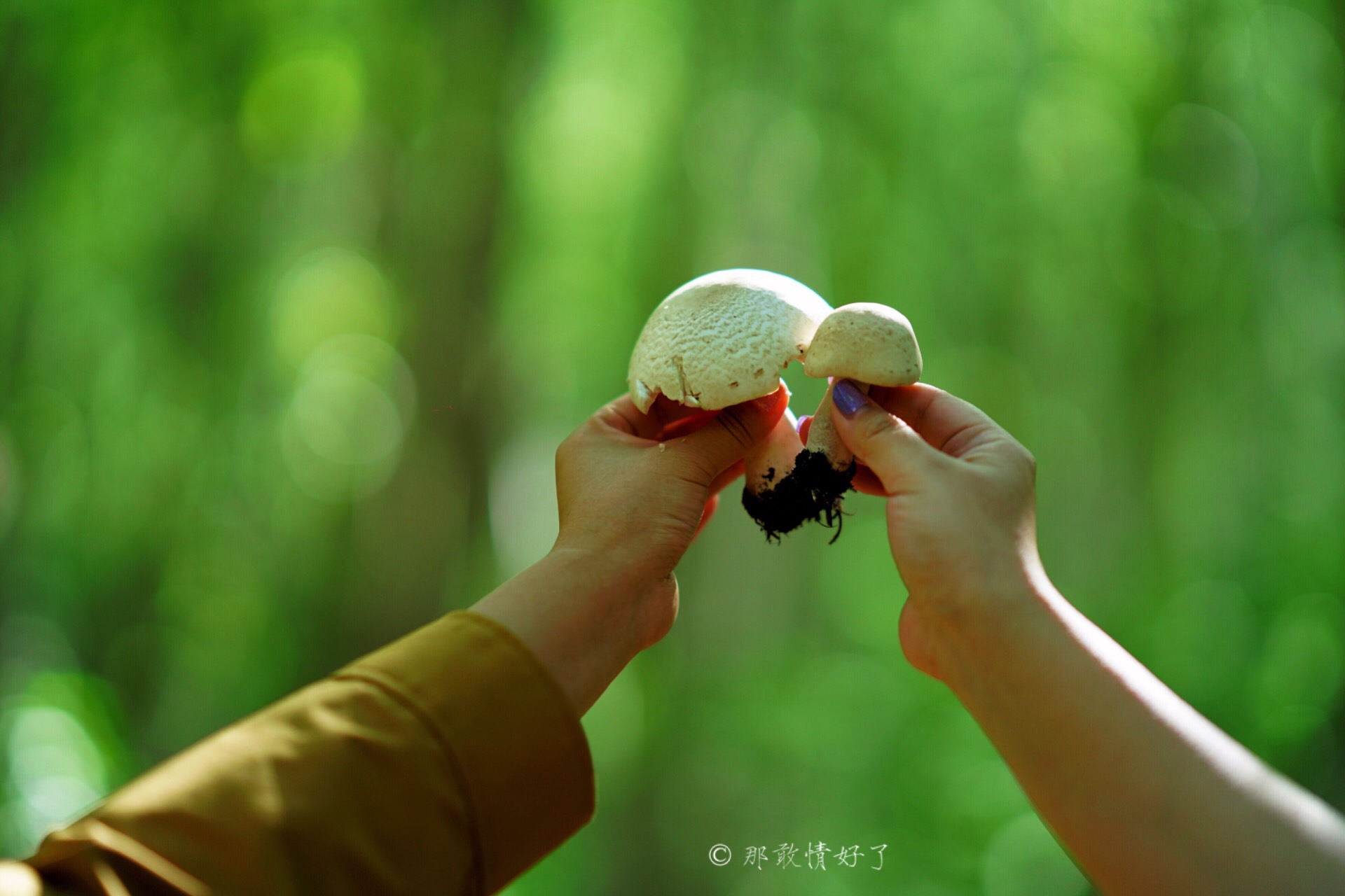 北京北部看红叶自驾线路推荐,冬季京西自驾游最佳线路