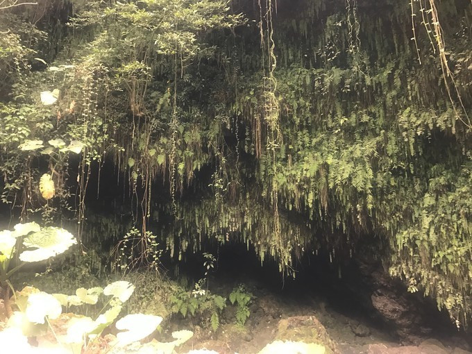 一家人海口旅游攻略,海口一家三口哪里好玩