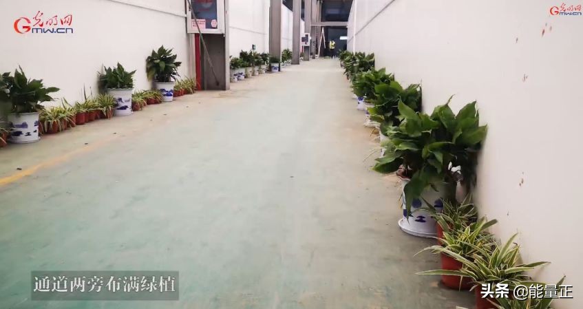 新冠肺炎天价治疗费用曝光,新冠肺炎天价治疗费曝光