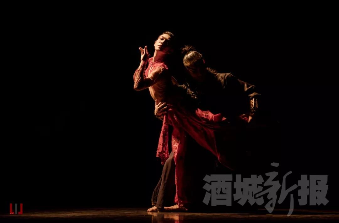 跳哭何炅的无骨鸡柳男孩是咱泸州男儿▎必须点赞