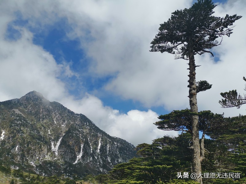 大理苍山一日免费游详细攻略,大理苍山旅游攻略自由行