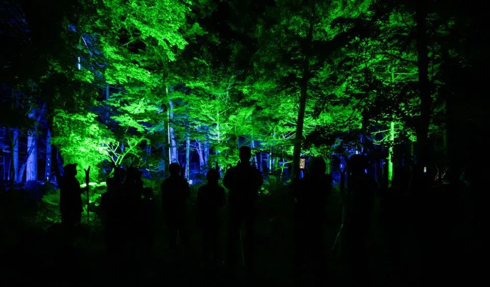 沉浸式体验赋能文旅新型业态,沉浸式体验文旅产品