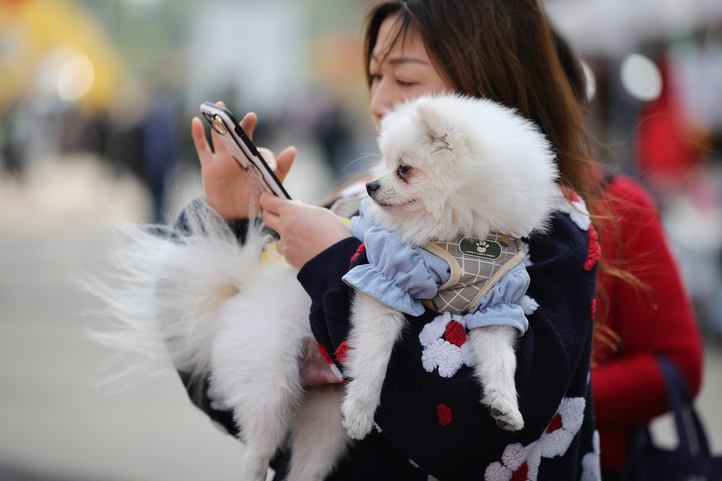 互联网巨头争夺存量市场,互联网宠物平台竞争策略