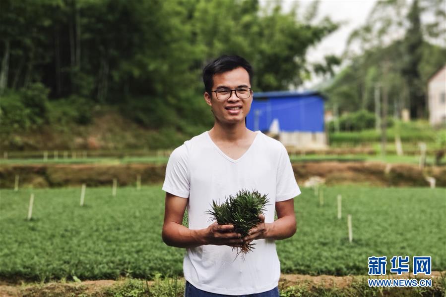 一个回乡创业的90后,回村种甘蔗的90后