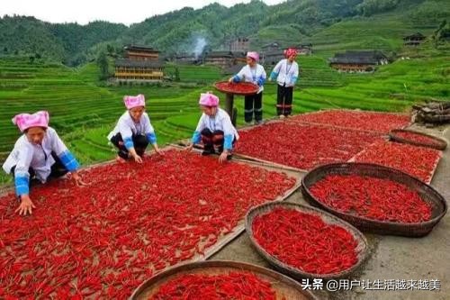 龙胜哪儿有好看的景区,广西的龙胜有什么好玩的