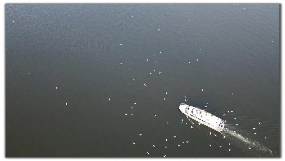 昆明周边小众打卡村落,昆明最值得去的六大村落