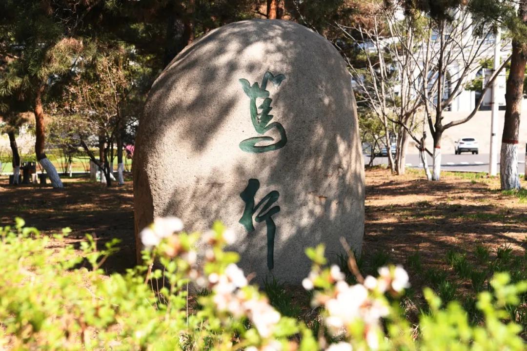 延边大学2020级新生开始报到,延边大学让家长送大一新生进学校