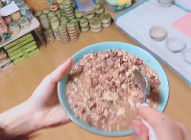 如何给猫咪做驱虫,如何给猫咪做正确的驱虫