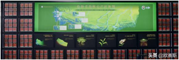 白茶市场深度分析及品牌战略思考(二)