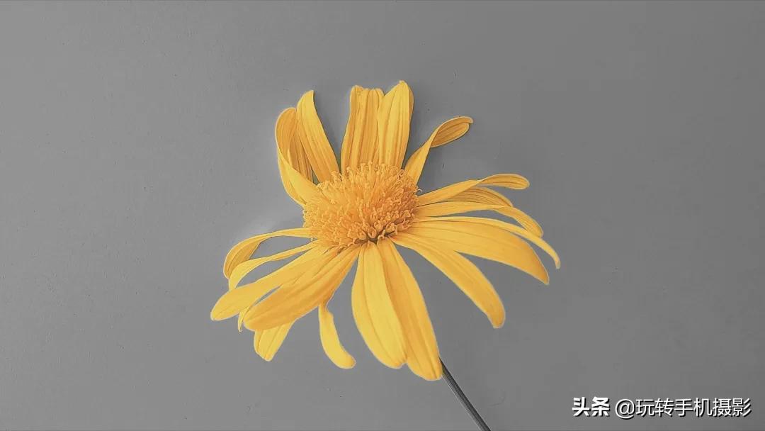 华为相册竟隐藏神仙功能,华为相册一般人不知道的功能