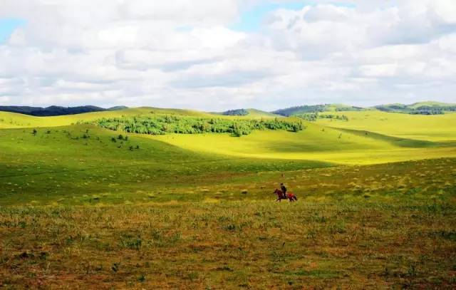 旅游达人总结全国的旅游陷阱,旅游坑人套路大揭秘