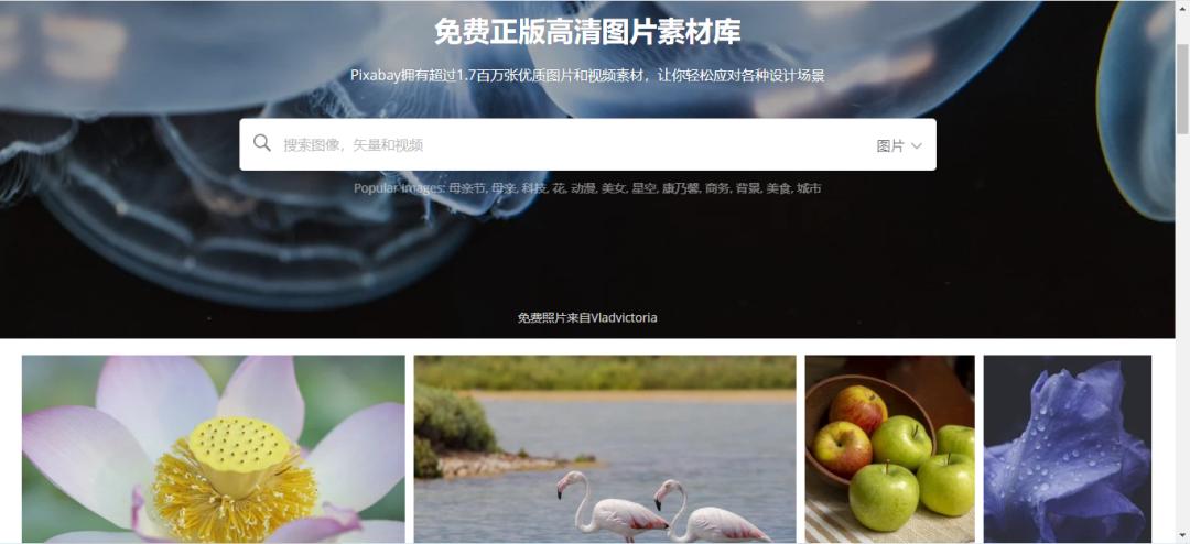 推荐十个超级宝藏网站,全球小众宝藏网站排名前十