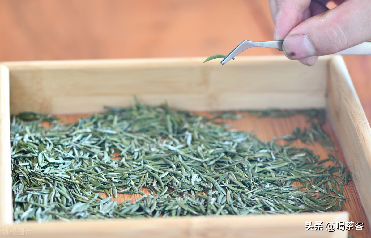 整天冷冷清清却屹立不倒，茶叶是暴利行业吗？