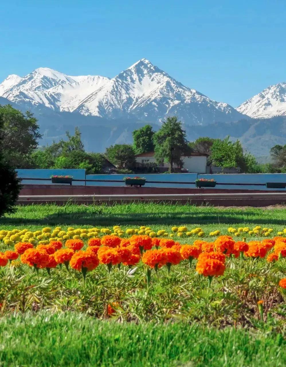 中国最没被认全的邻居,我国未被识别的民族有多少