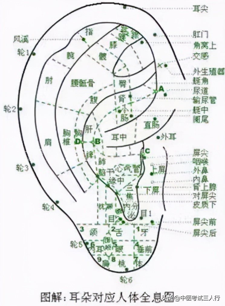 针灸减肥的最佳方法,针灸减肥40斤需要多久
