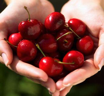 足球场上悟出的创业道理:激情拼搏