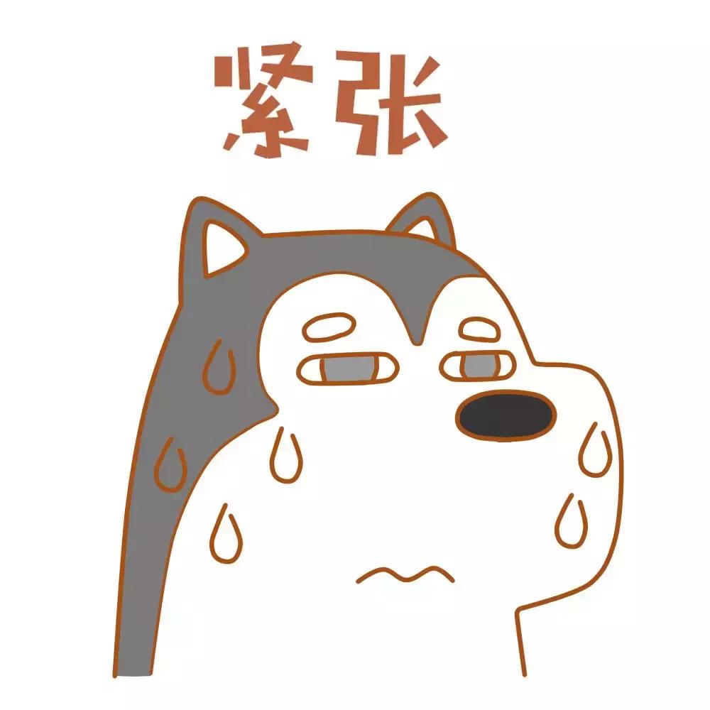 颈动脉堵了怎么办能治好吗,颈动脉感觉有点堵