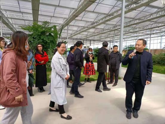 江苏乡村振兴宿迁,宿迁推进乡村振兴再发力