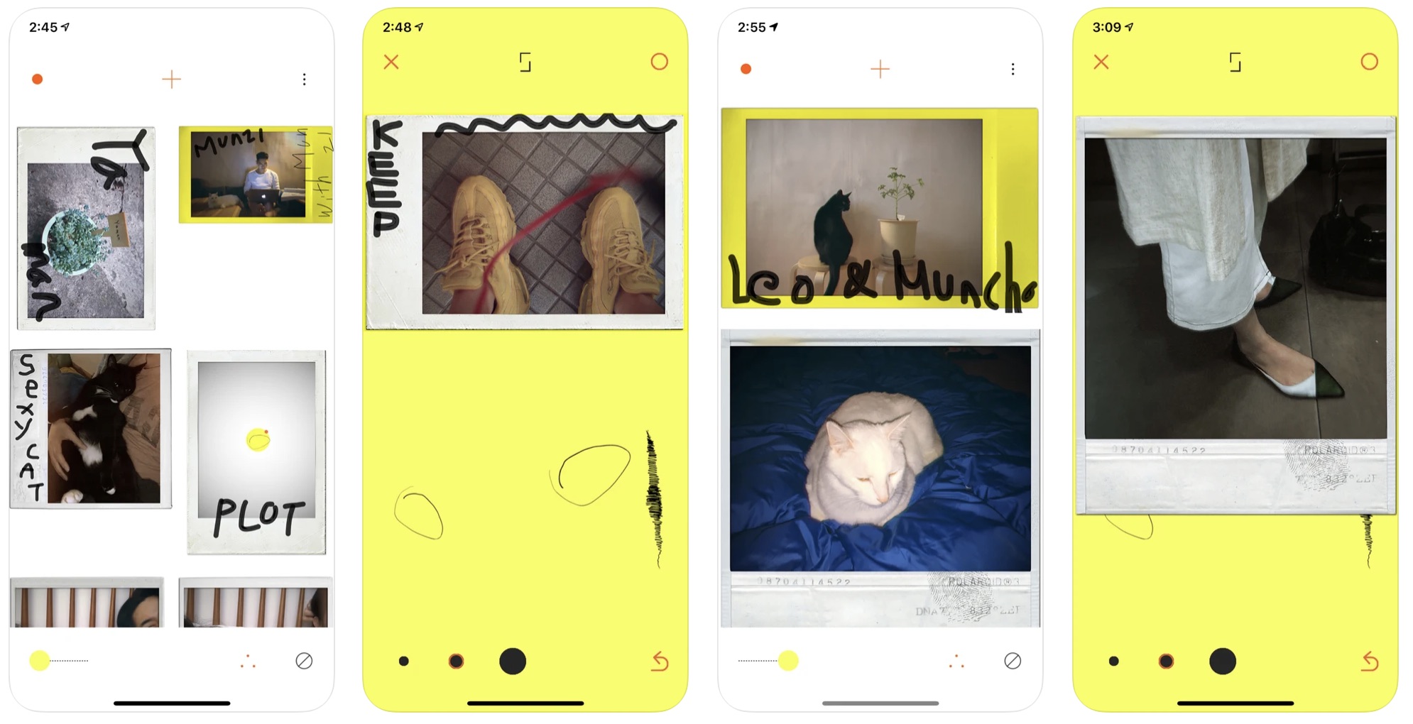 苹果airpods教育优惠补发 (苹果教育优惠怎么升级airpods)