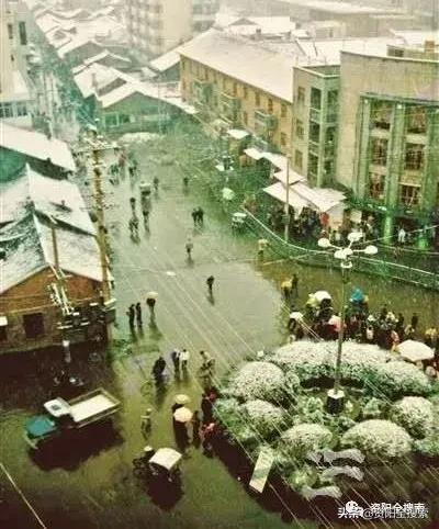 资阳和平路又到了飘“毛毛雨”的时候