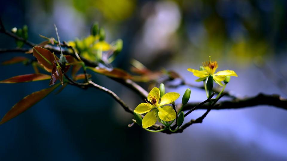 课前三分钟经典古诗,十分钟学古诗