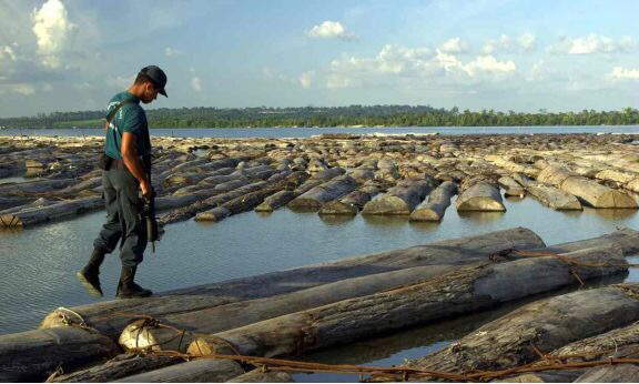 中国的吉他产业,吉他在国内外的发展趋势