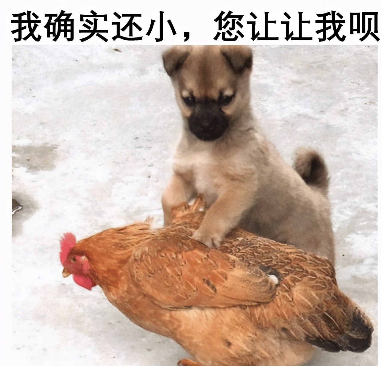 有些亲戚总是问你工资多少啊,亲戚问你工资多少怎么回