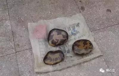 八大奇石造假手段,到底什么样的石头才算真正的奇石