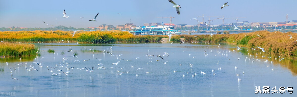 国家为什么要大力发展宁夏,宁夏石嘴山市未来发展