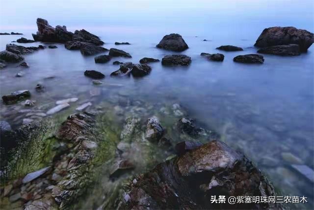 爱上一座城爱上一个人短视频,长岛大壮渔家民宿团购