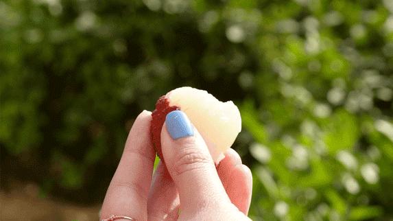 奈雪推荐果汁,奈雪选用了赣南脐橙