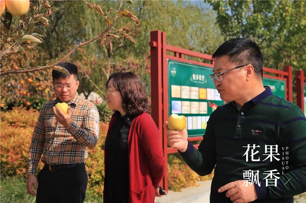 一箱水果能赚多少钱,一箱水果利润多少