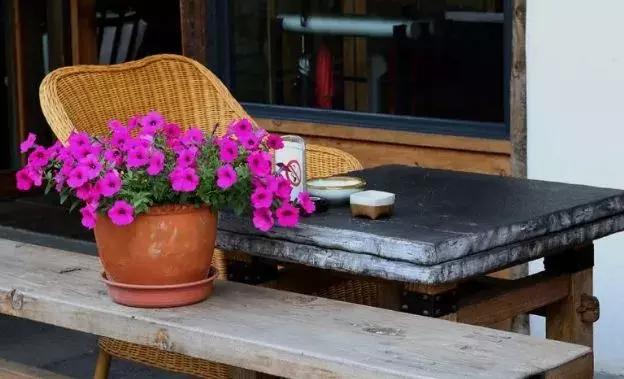 成都近郊10个免费景点,成都小众景点推荐