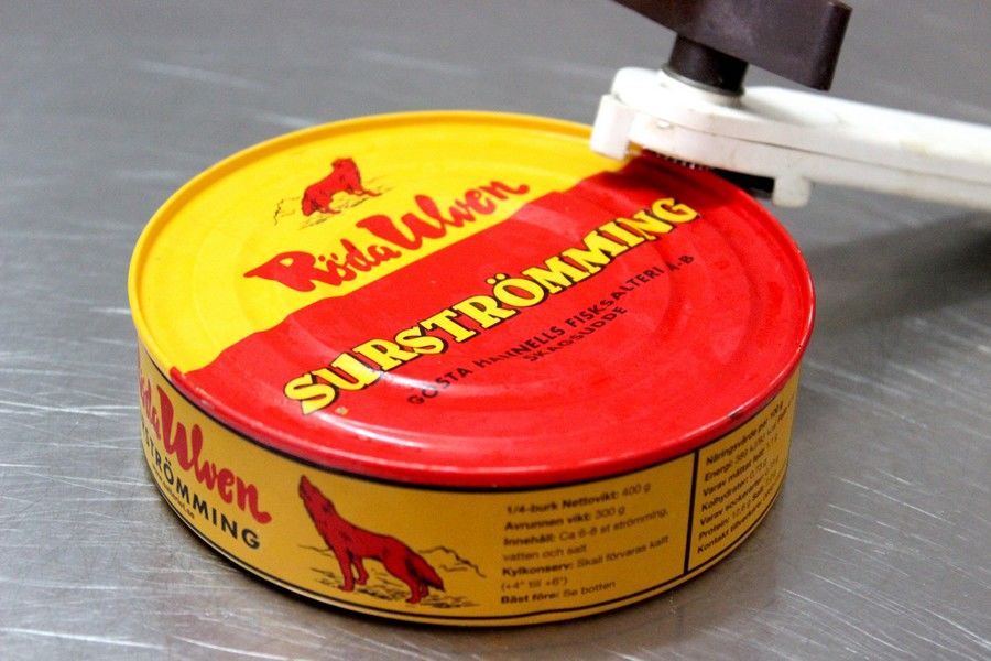 堪比生化武器的罐头,爱斯基摩人吃腌海雀片段